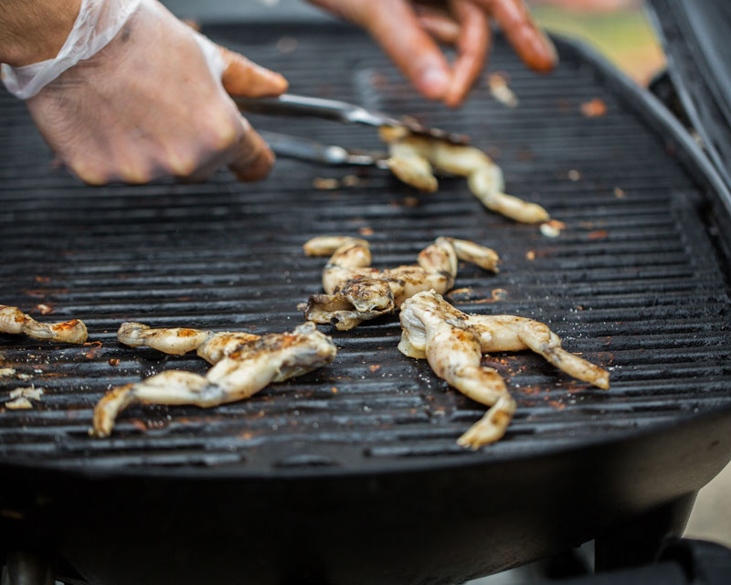 close-up-of-frog-meat-grill-at-street-market-PWGR8FY